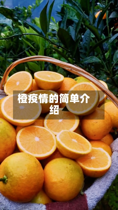 橙疫情的简单介绍