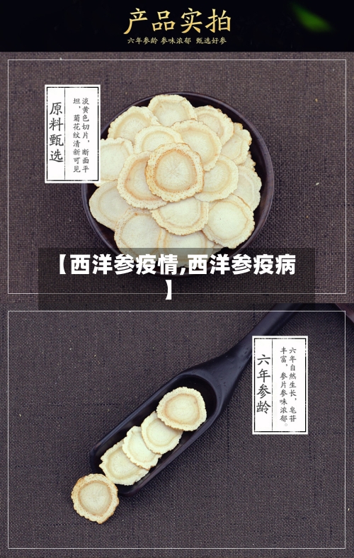 【西洋参疫情,西洋参疫病】-第3张图片