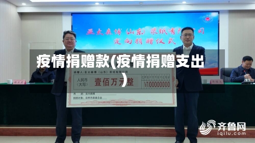 疫情捐赠款(疫情捐赠支出)-第2张图片