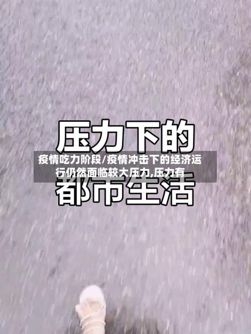 疫情吃力阶段/疫情冲击下的经济运行仍然面临较大压力,压力有-第2张图片