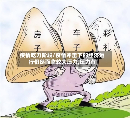 疫情吃力阶段/疫情冲击下的经济运行仍然面临较大压力,压力有-第3张图片