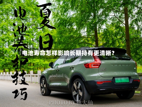 电池寿命怎样影响长期持有更清晰？-第2张图片