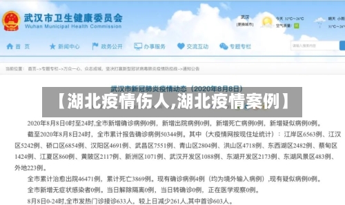 【湖北疫情伤人,湖北疫情案例】