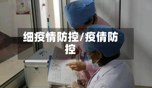 细疫情防控/疫倩防控