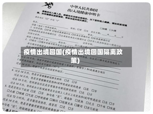 疫情出境回国(疫情出境回国隔离政策)-第3张图片