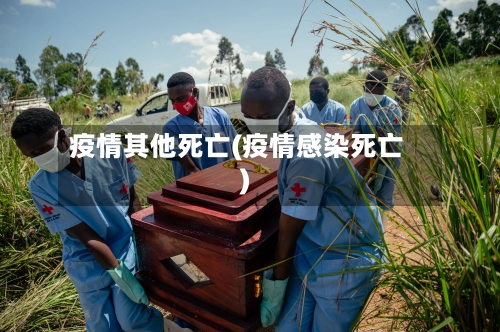 疫情其他死亡(疫情感染死亡)-第3张图片