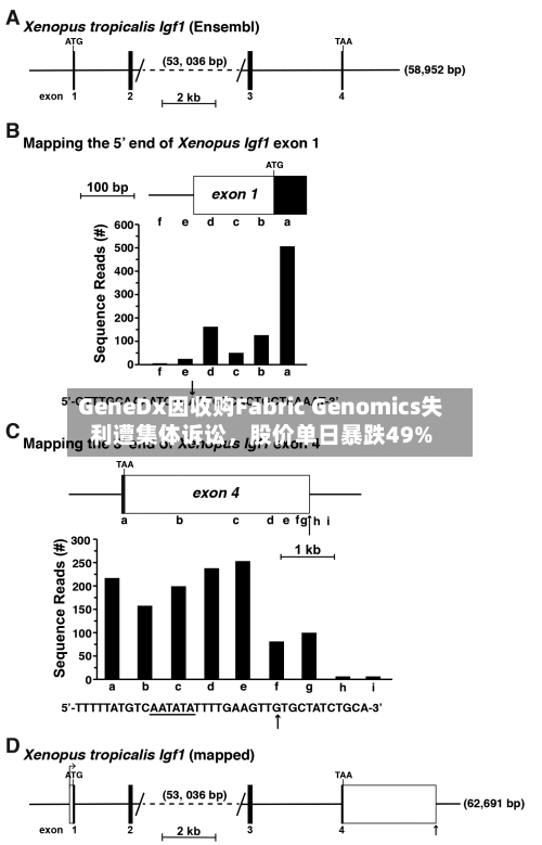 GeneDx因收购Fabric Genomics失利遭集体诉讼	，股价单日暴跌49%-第2张图片