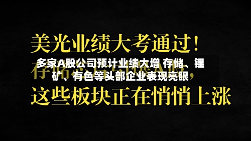 多家A股公司预计业绩大增 存储、锂矿、有色等头部企业表现亮眼
