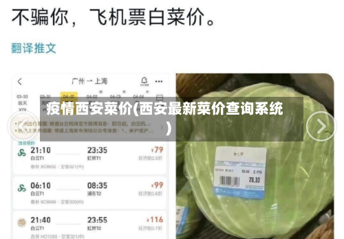 疫情西安菜价(西安最新菜价查询系统)-第3张图片