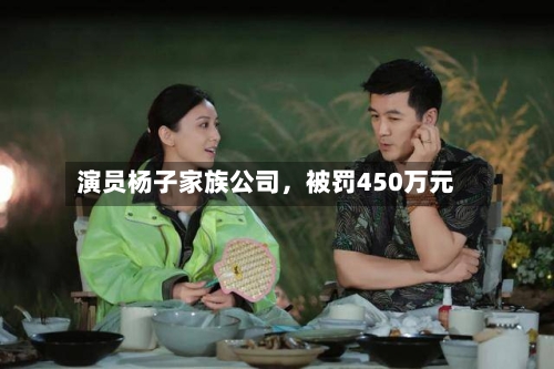 演员杨子家族公司	，被罚450万元-第3张图片
