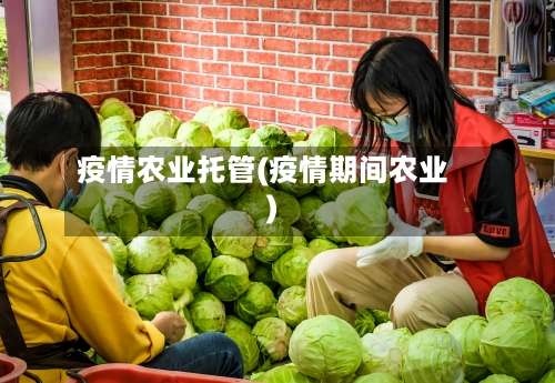 疫情农业托管(疫情期间农业)-第2张图片