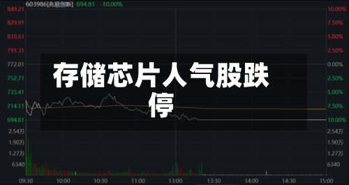 存储芯片人气股跌停