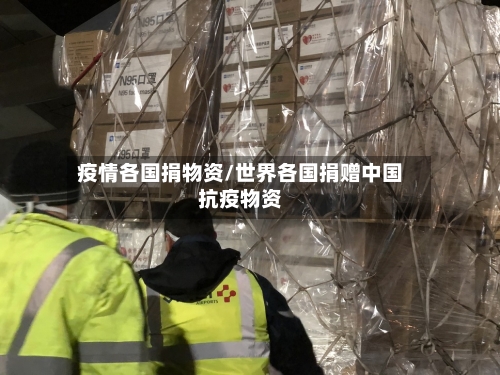 疫情各国捐物资/世界各国捐赠中国抗疫物资