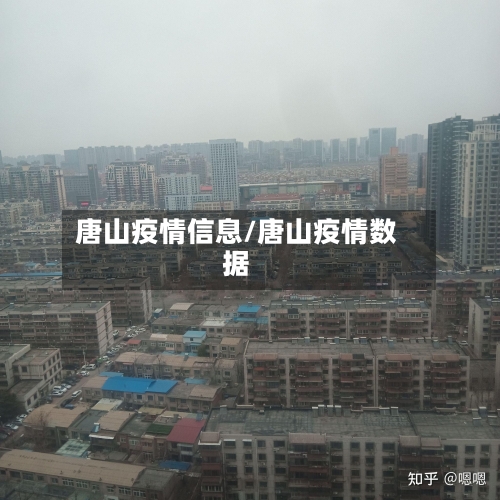 唐山疫情信息/唐山疫情数据-第3张图片
