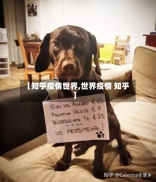 【知乎疫情世界,世界疫情 知乎】-第2张图片
