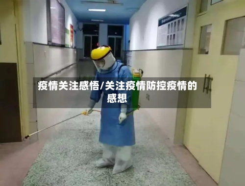 疫情关注感悟/关注疫情防控疫情的感想