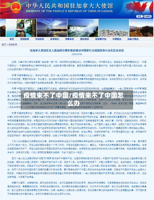 疫情来不了中国/疫情来不了中国怎么办