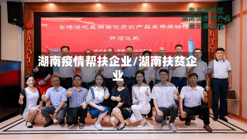 湖南疫情帮扶企业/湖南扶贫企业