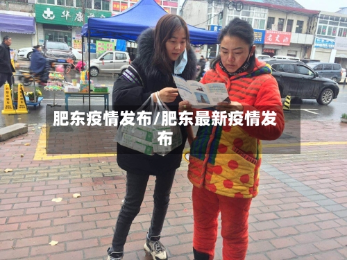 肥东疫情发布/肥东最新疫情发布-第2张图片