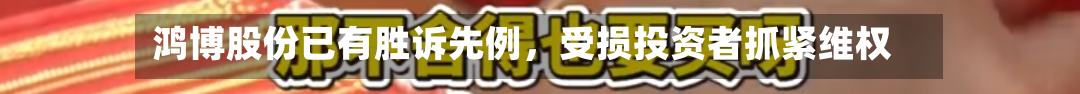 鸿博股份已有胜诉先例，受损投资者抓紧维权-第3张图片