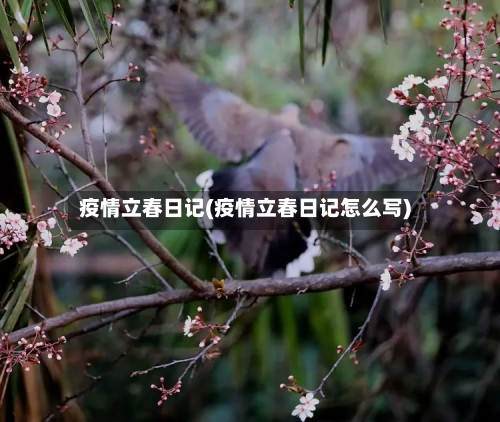 疫情立春日记(疫情立春日记怎么写)-第3张图片