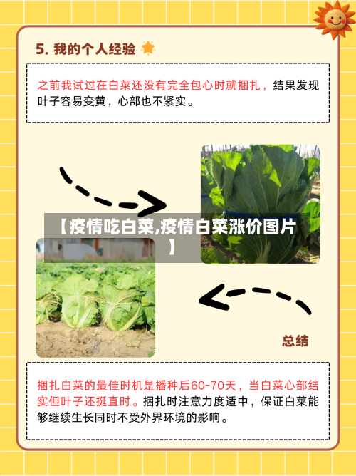 【疫情吃白菜,疫情白菜涨价图片】