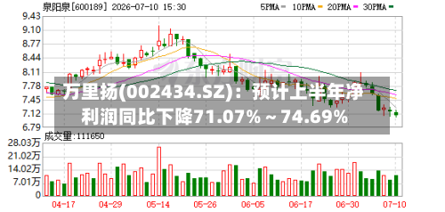 万里扬(002434.SZ)：预计上半年净利润同比下降71.07%～74.69%