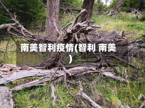 南美智利疫情(智利 南美)