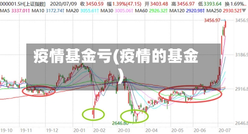 疫情基金亏(疫情的基金)-第2张图片