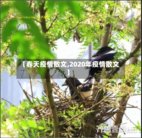 【春天疫情散文,2020年疫情散文】-第2张图片