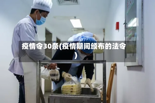 疫情令30条(疫情期间颁布的法令)