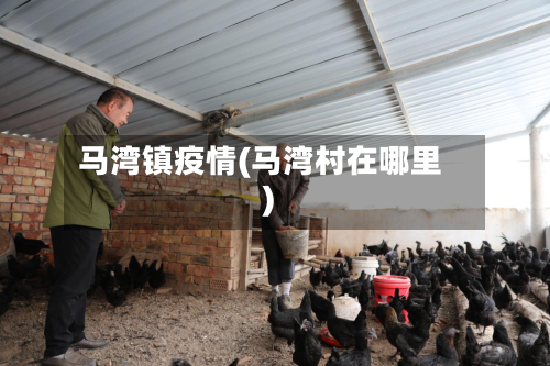 马湾镇疫情(马湾村在哪里)-第2张图片