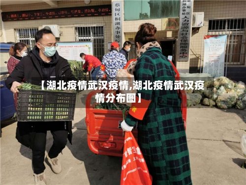【湖北疫情武汉疫情,湖北疫情武汉疫情分布图】-第2张图片