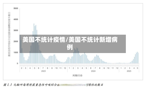 美国不统计疫情/美国不统计新增病例