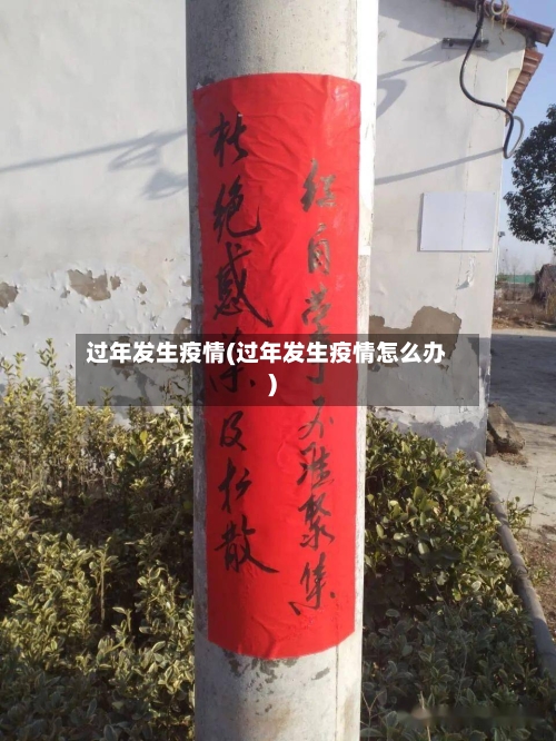 过年发生疫情(过年发生疫情怎么办)-第2张图片
