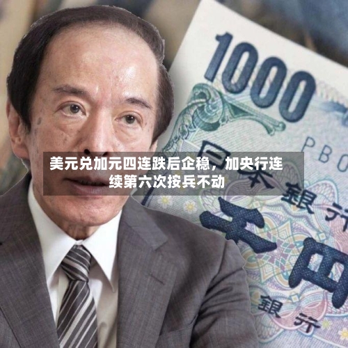 美元兑加元四连跌后企稳	，加央行连续第六次按兵不动-第2张图片