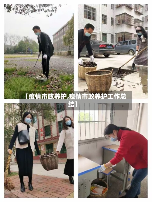 【疫情市政养护,疫情市政养护工作总结】