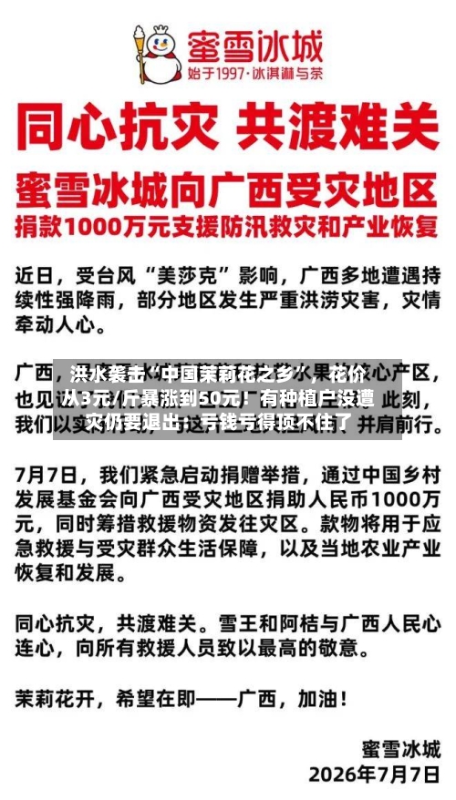 洪水袭击“中国茉莉花之乡”，花价从3元/斤暴涨到50元！有种植户没遭灾仍要退出：亏钱亏得顶不住了-第2张图片