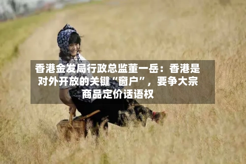 香港金发局行政总监董一岳：香港是对外开放的关键“窗户”，要争大宗商品定价话语权