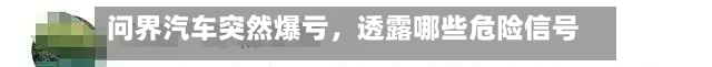问界汽车突然爆亏，透露哪些危险信号？-第2张图片