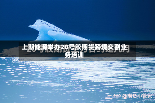 上期能源举办20号胶期货跨境交割业务培训-第3张图片