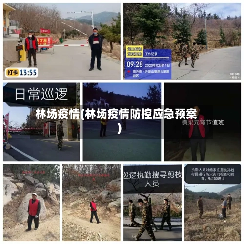 林场疫情(林场疫情防控应急预案)