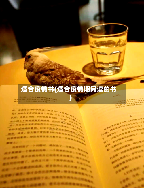 适合疫情书(适合疫情期间读的书)-第2张图片