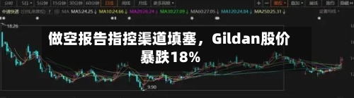 做空报告指控渠道填塞，Gildan股价暴跌18%-第2张图片