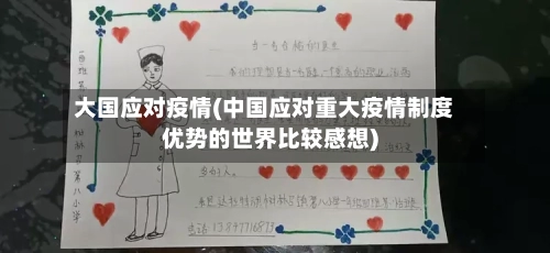 大国应对疫情(中国应对重大疫情制度优势的世界比较感想)