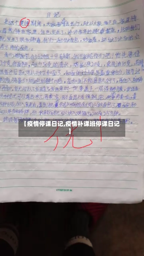 【疫情停课日记,疫情补课班停课日记】-第3张图片