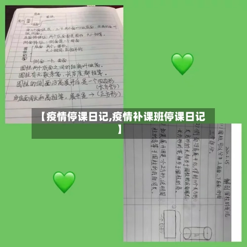 【疫情停课日记,疫情补课班停课日记】-第2张图片