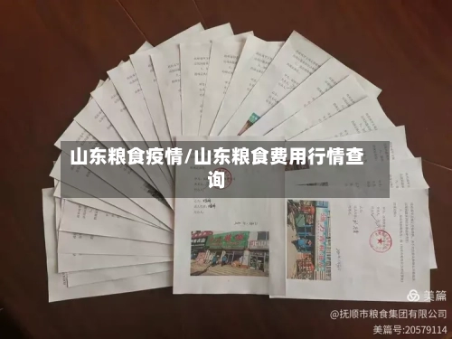 山东粮食疫情/山东粮食费用行情查询-第3张图片