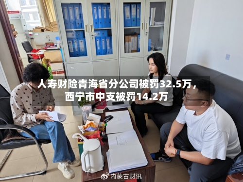 人寿财险青海省分公司被罚32.5万，西宁市中支被罚14.2万-第2张图片