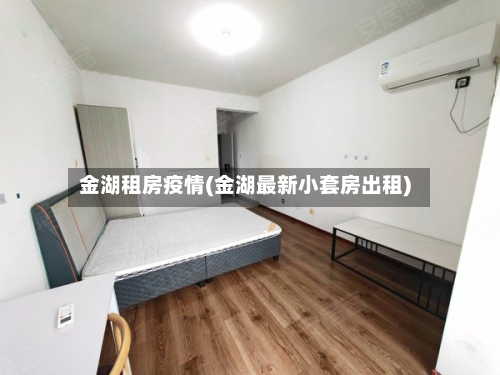 金湖租房疫情(金湖最新小套房出租)-第2张图片